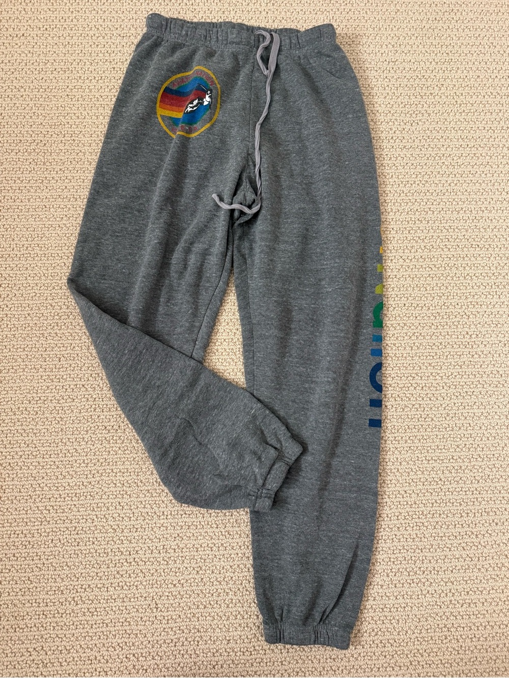 Aviator Nation Unisex Sweatpants - small hole on back of leg - Size M - gray